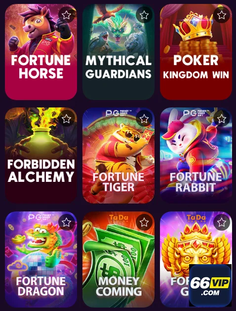 Usuário acessando serviços VIP no aplicativo 66vip.com